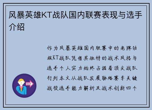 风暴英雄KT战队国内联赛表现与选手介绍