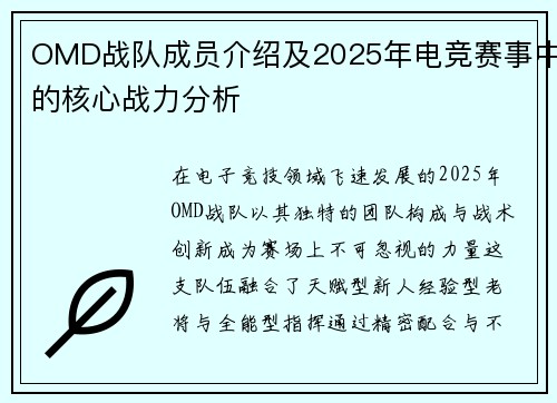 OMD战队成员介绍及2025年电竞赛事中的核心战力分析