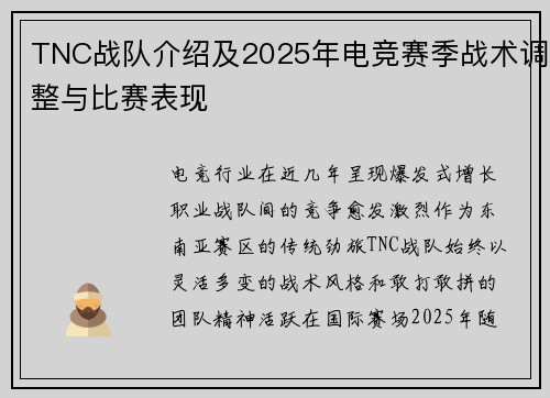 TNC战队介绍及2025年电竞赛季战术调整与比赛表现