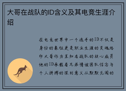 大哥在战队的ID含义及其电竞生涯介绍